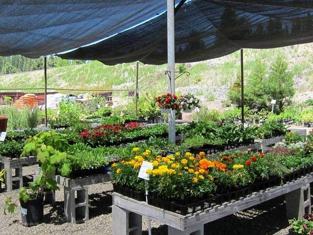 Anderson's Garden Center - Graeagle Real Estate - Graeagle Associates